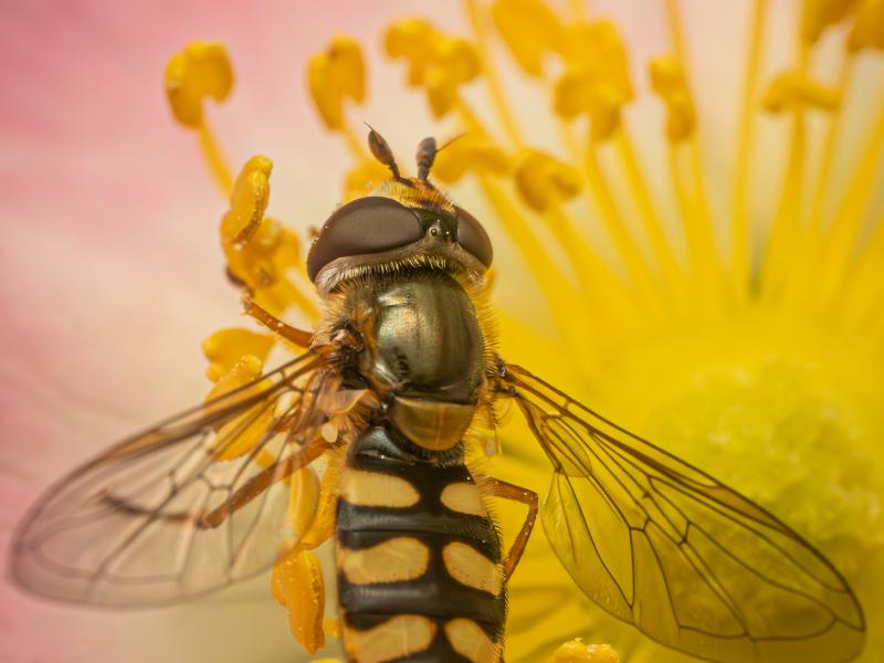 Foto taget af Bjarne Christensen