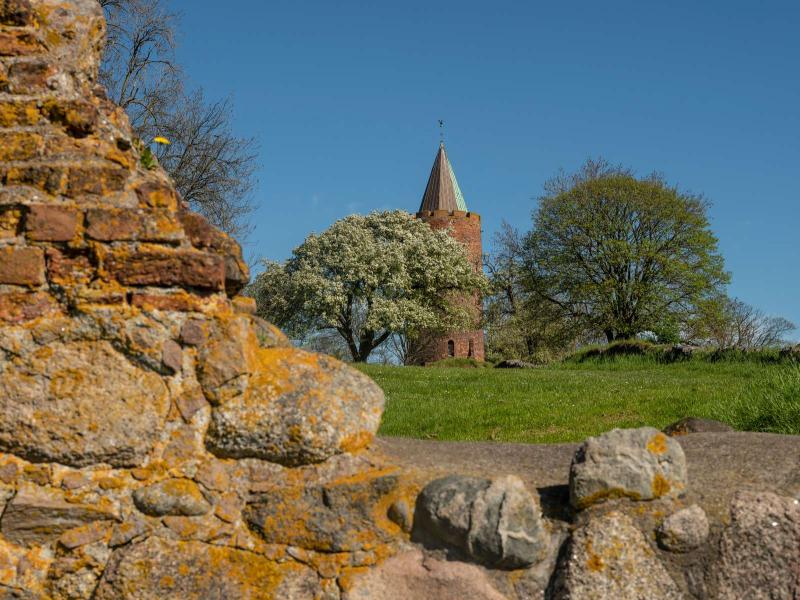 Foto af slotsruinen og gåsetårnet